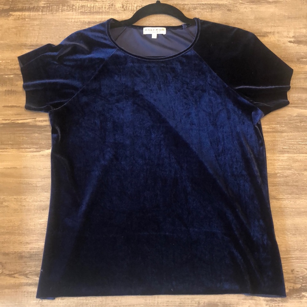 Blue Velour Top